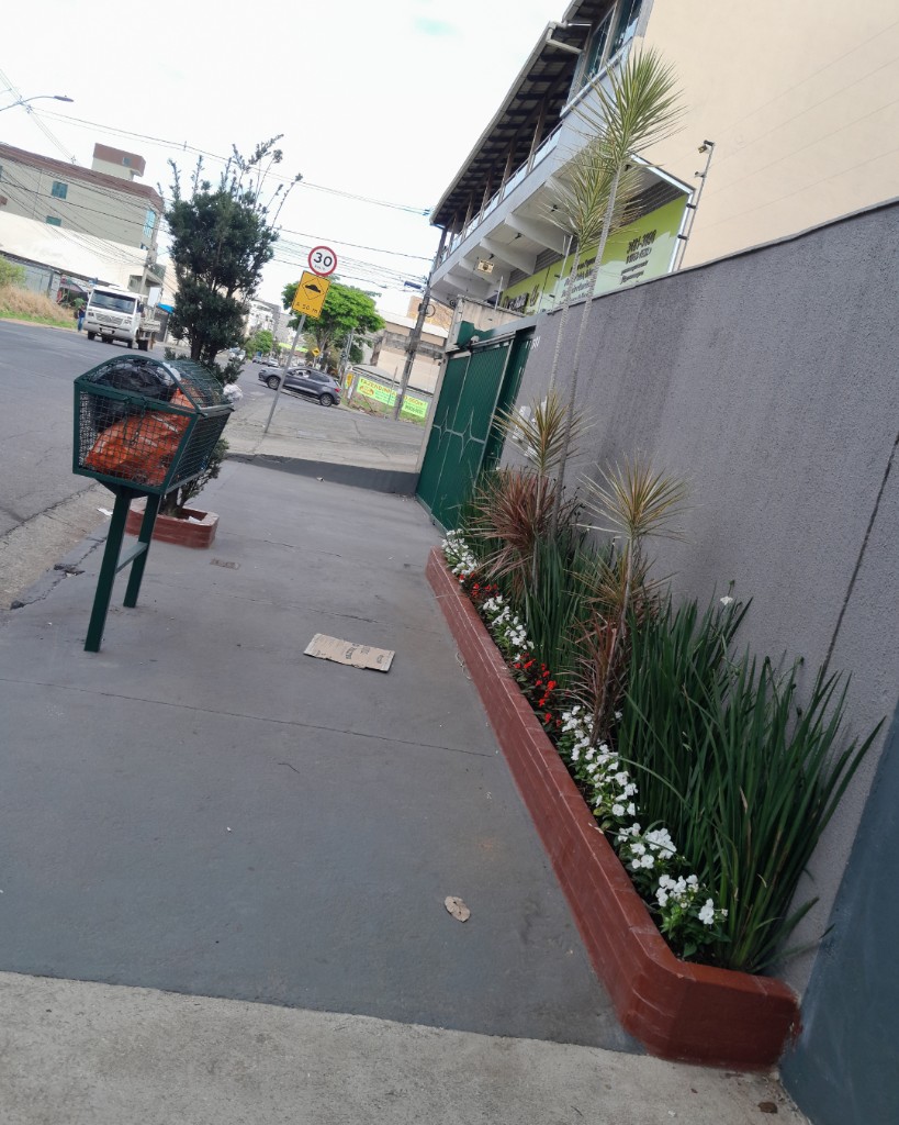 Cuidar do seu jardim embeleza o bairro