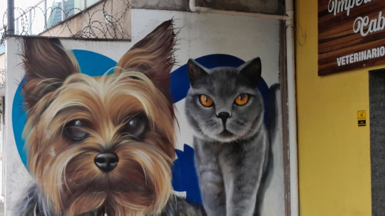 Mural artístico com pets no Bairro Cabral
